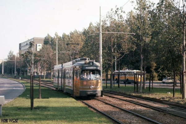 De dia's van deze dag waren na het scannen bruin. Dat was niet ec