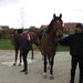 Sneukeltoch 13-4-2008 002