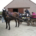 Sneukeltoch 13-4-2008 007