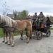 Sneukeltoch 13-4-2008 013