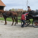 Sneukeltoch 13-4-2008 023