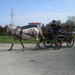 Sneukeltoch 13-4-2008 029