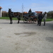 Sneukeltoch 13-4-2008 035