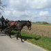 Sneukeltoch 13-4-2008 036