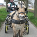 Sneukeltoch 13-4-2008 046