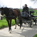Sneukeltoch 13-4-2008 048