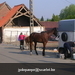 gordel 2009 (8)