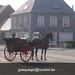 gordel 2009 (10)