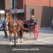 gordel 2009 (12)