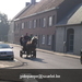 gordel 2009 (13)