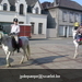 gordel 2009 (20)