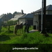 gordel 2009 (29)