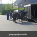 gordel 2009 (35)