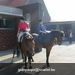 gordel 2009 (41)