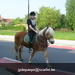 gordel 2009 (54)