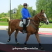gordel 2009 (55)