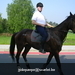 gordel 2009 (56)