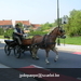 gordel 2009 (57)