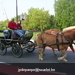 gordel 2009 (59)