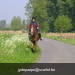 gordel 2009 (61)