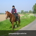 gordel 2009 (62)