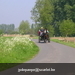 gordel 2009 (63)