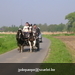gordel 2009 (65)