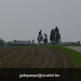 gordel 2009 (79)