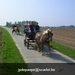 gordel 2009 (85)