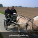 gordel 2009 (86)