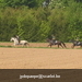 gordel 2009 (89)