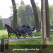 gordel 2009 (101)