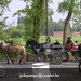 gordel 2009 (103)