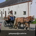 gordel 2009 (105)