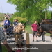 gordel 2009 (108)