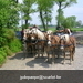 gordel 2009 (110)