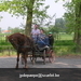 gordel 2009 (113)
