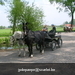 gordel 2009 (115)