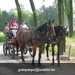 gordel 2009 (118)