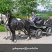 gordel 2009 (120)