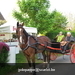 MARTINUS Sneukeltocht 1-5-09 003