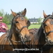 MARTINUS Sneukeltocht 1-5-09 033