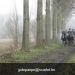IMG_6022 (Large)