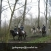 IMG_6033 (Large)