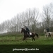 IMG_6037 (Large)