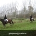 IMG_6040 (Large)