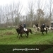 IMG_6041 (Large)