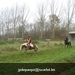 IMG_6043 (Large)