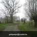 IMG_6048 (Large)