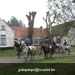 IMG_6049 (Large)